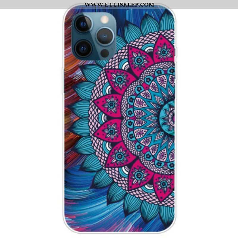 Etui do iPhone 14 Pro Kolorowa Mandala